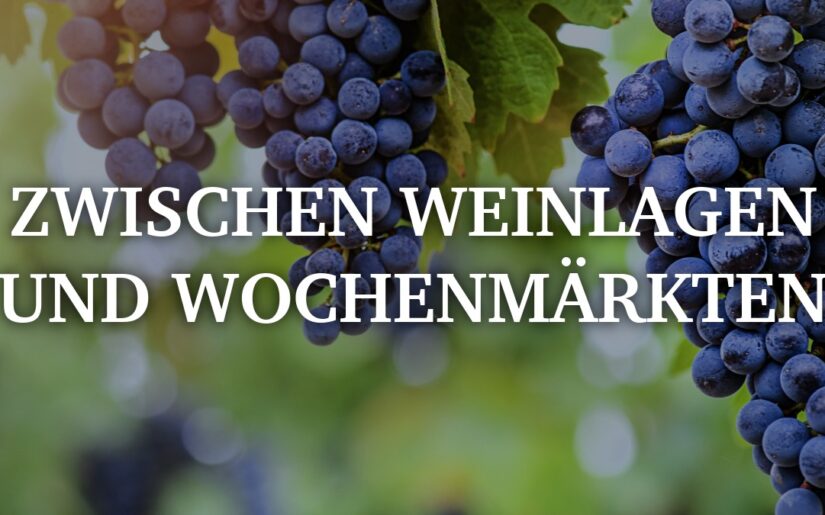 Zwischen Weinlagen und Wochenmärkten – Mit CroisiEurope ins kulinarische Herz Frankreichs