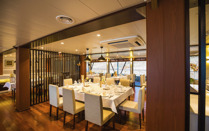 RV Indochine II, Innen, Restaurant, Tag, Interior - ©Live Studio
