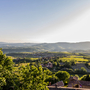 Weinbaugebiet Beaujolais in Frankreich