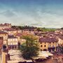 Blick über St. Emilion