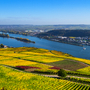 Blick ins Rheintal im Herbst