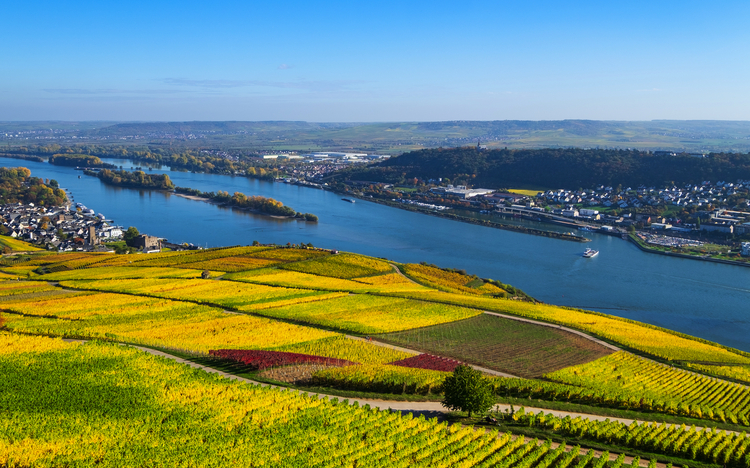 Blick ins Rheintal im Herbst