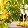 Weinreben und Weißwein