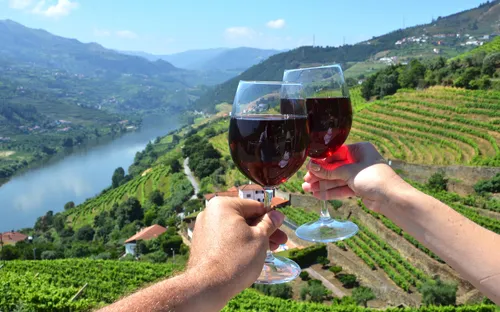 Weinberge im Duoro-Tal, Portugal