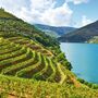Weinberge am Fluss Duero/Douro