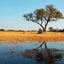 Kwando River