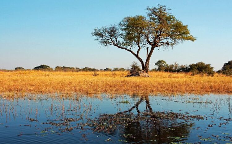 Kwando River