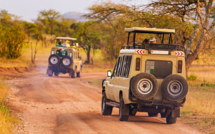 Jeeps auf afrikanische Tiersafari.