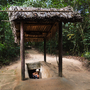 Tunnel von Cu Chi in Vietnam