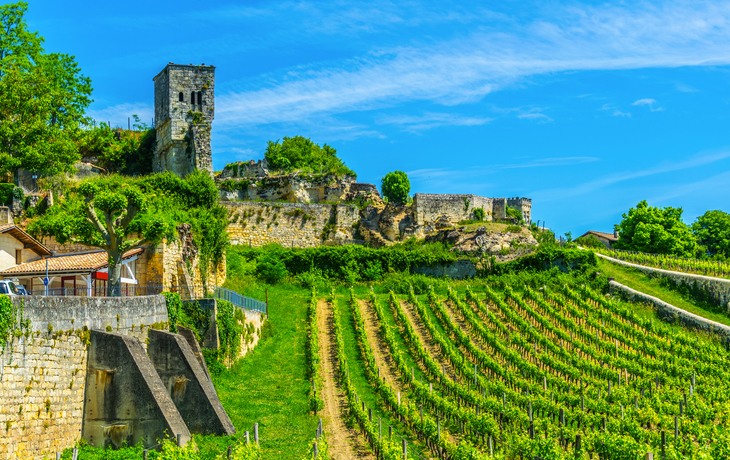 Weinberge bei Saint Emilion in Frankreich - ©dudlajzov - stock.adobe.com