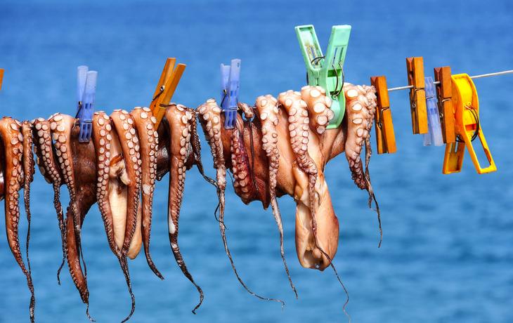 Calamares zum Trocknen, - © Comofoto - stock.adobe.com