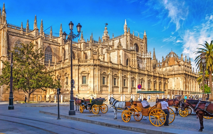 Kathedrale von Sevilla  - © pure-life-pictures - stock.adobe.com