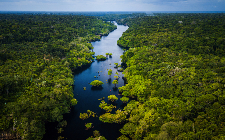 Anavilhanas-Archipel - eines der weltweit größten Flussinsel-Archipele des Rio Negro im Amazonasgebiet von Brasilien