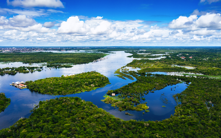 Luftaufnahme des Rio Momon im Amazonas-Regenwald nahe Iquitos
