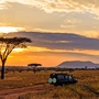 Safari im Serengeti-Nationalpark in Tansania