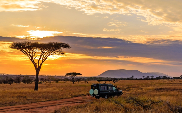 Safari im Serengeti-Nationalpark in Tansania
