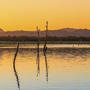 Kariba See, Draußen, Safari, Boottour, Sonnenuntergang, Wasser