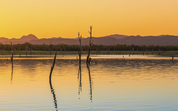 Kariba See, Draußen, Safari, Boottour, Sonnenuntergang, Wasser