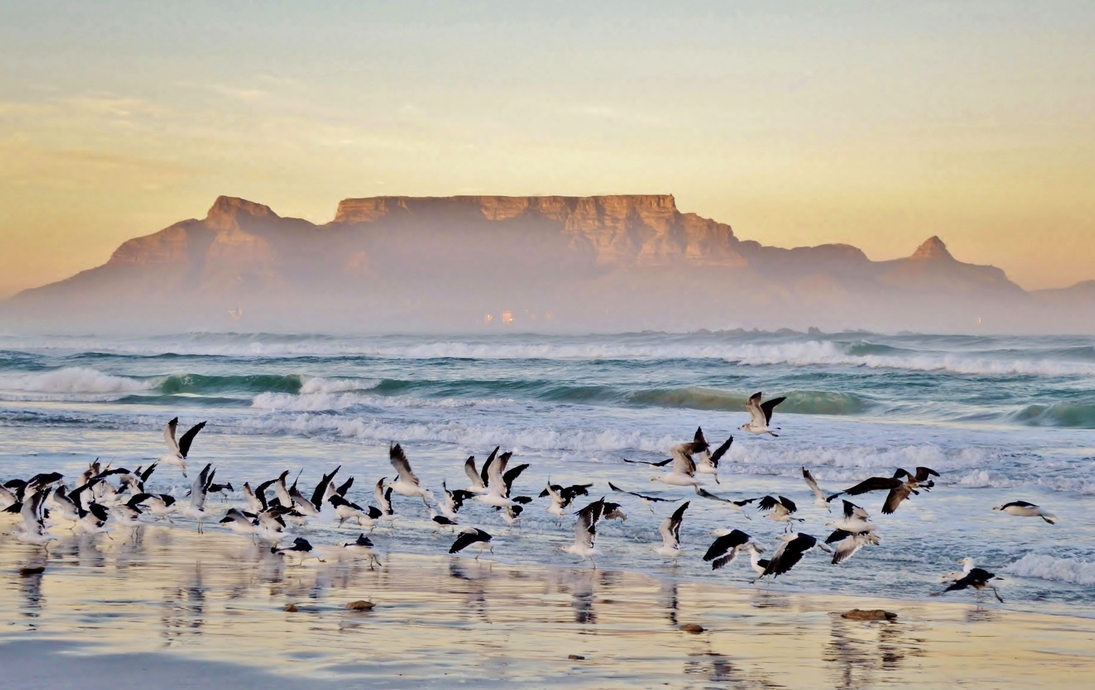 Blick auf den Tafelberg - © lehmannw - stock.adobe.com