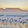 Blick auf den Tafelberg