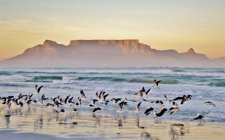 Blick auf den Tafelberg