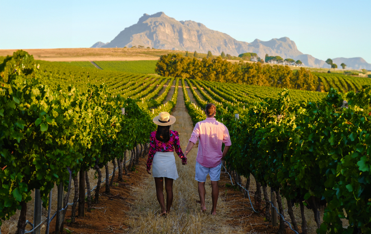 Weinberglandschaft in Stellenbosch - © Fokke Baarssen - stock.adobe.com
