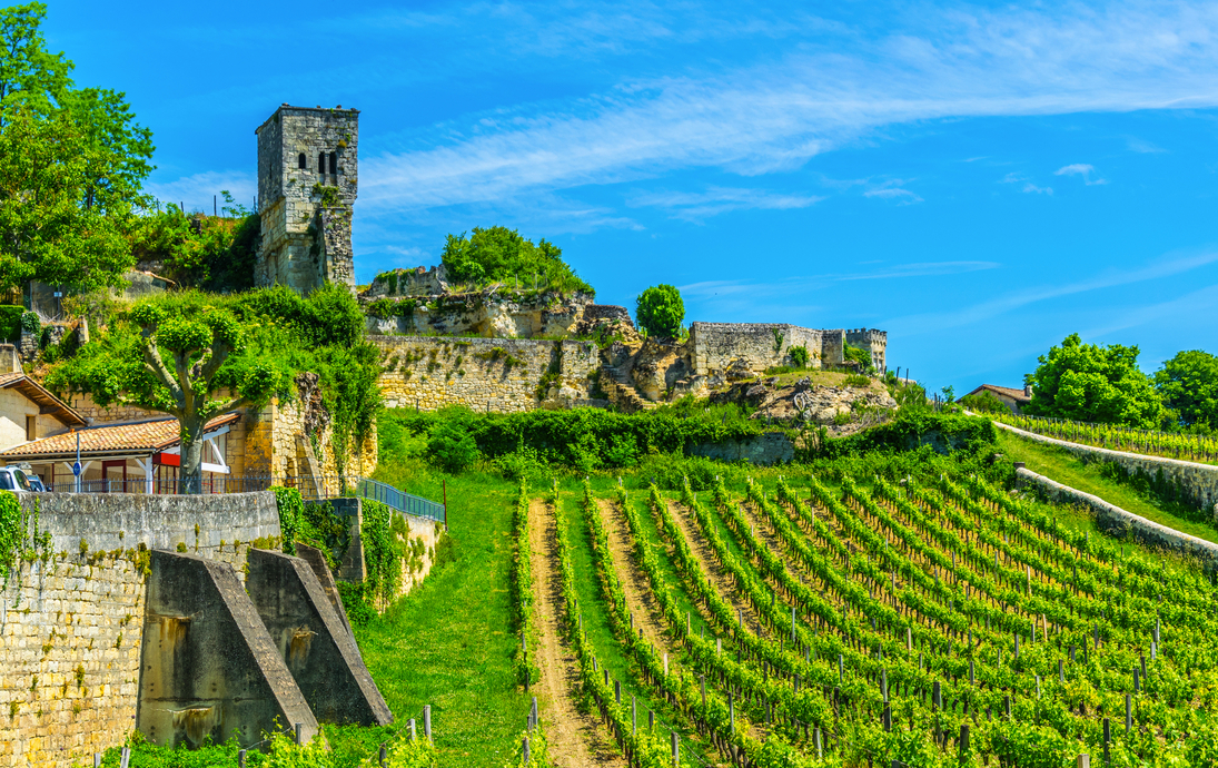 Weinberge bei Saint Emilion in Frankreich - ©dudlajzov - stock.adobe.com