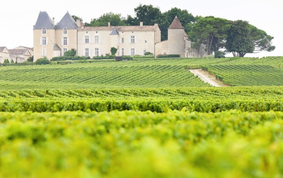 Weinberge und Chateau d'Yquem in der Weinregion Sauternes - © PHB.cz - Fotolia