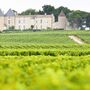 Weinberge und Chateau d'Yquem in der Weinregion Sauternes