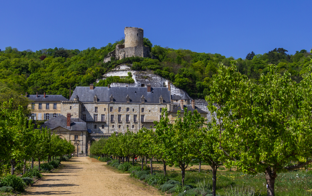 Chateau de La Roche-Guyon  - © Bob - stock.adobe.com