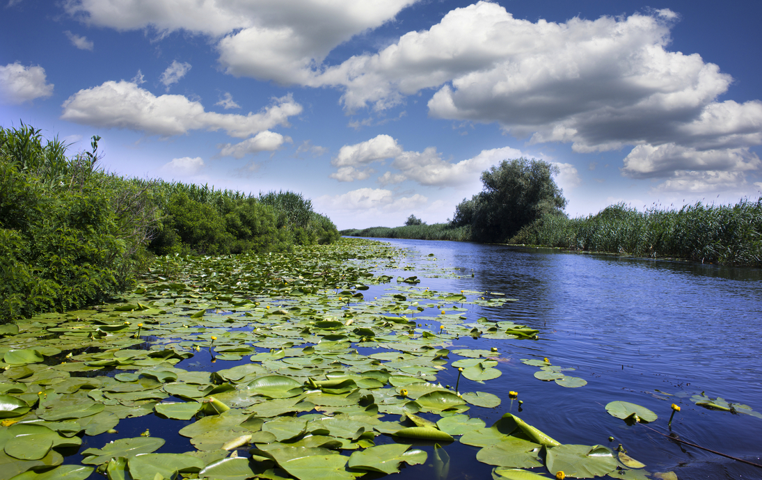Donaudelta - © adrian_ilie825 - stock.adobe.com
