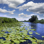Donaudelta