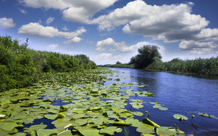 Donaudelta